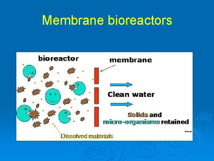 Membrane bioreactors Wikipedia 