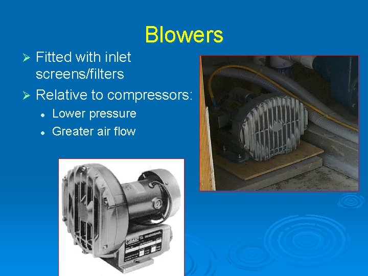 Blowers Fitted with inlet screens/filters Ø Relative to compressors: Ø l l Lower pressure