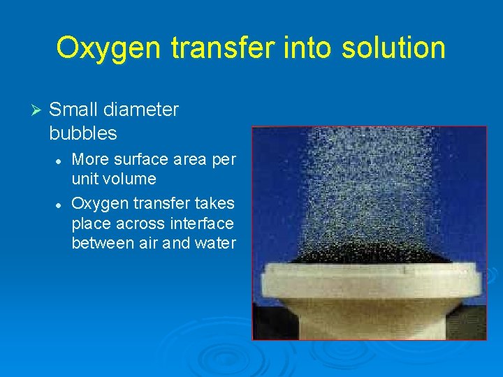 Oxygen transfer into solution Ø Small diameter bubbles l l More surface area per