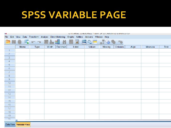 SPSS VARIABLE PAGE 
