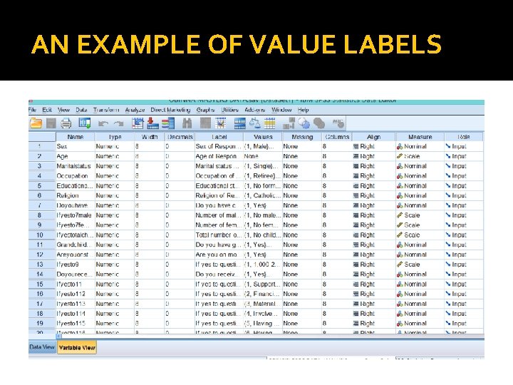 AN EXAMPLE OF VALUE LABELS 
