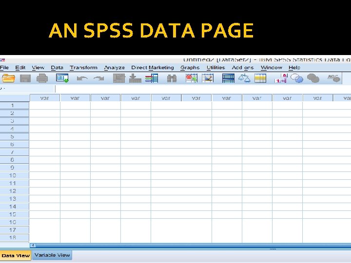 AN SPSS DATA PAGE 