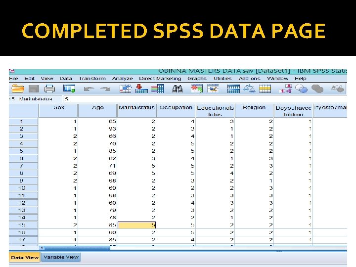 COMPLETED SPSS DATA PAGE 