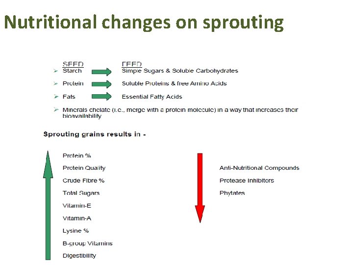 Nutritional changes on sprouting 