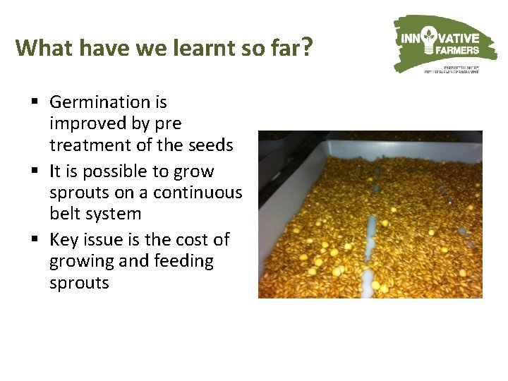 What have we learnt so far? § Germination is improved by pre treatment of