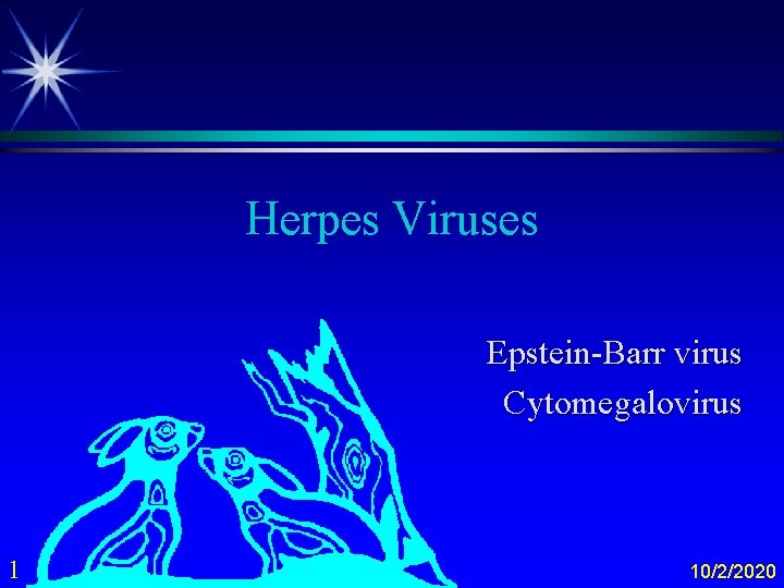 Herpes Viruses Epstein-Barr virus Cytomegalovirus 1 10/2/2020 