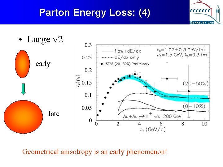 Parton Energy Loss: (4) • Large v 2 early late Geometrical anisotropy is an