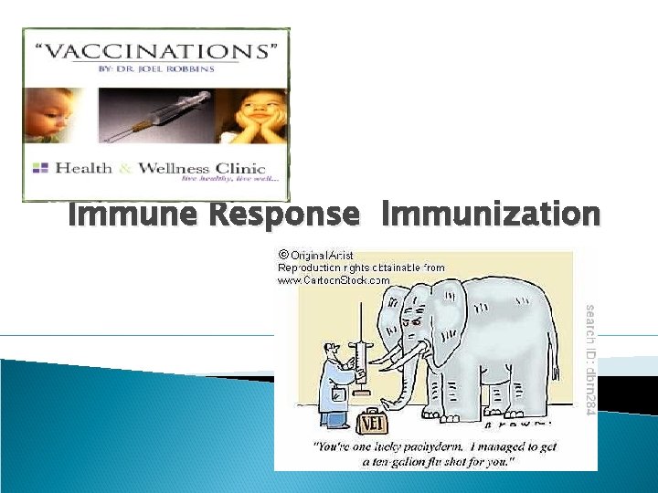 Immune Response Immunization 
