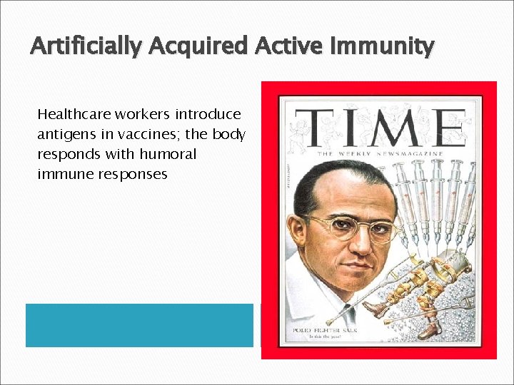 Artificially Acquired Active Immunity Healthcare workers introduce antigens in vaccines; the body responds with