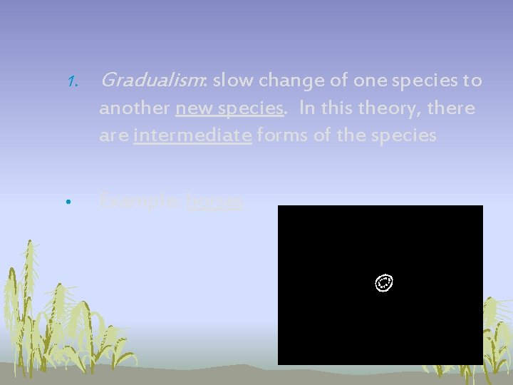 1. Gradualism: slow change of one species to another new species. In this theory, 1. Gradualism: slow change of one species to another new species. In this theory,