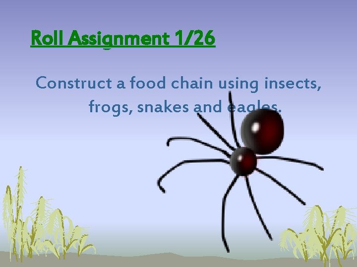 Roll Assignment 1/26 Construct a food chain using insects, frogs, snakes and eagles. Roll Assignment 1/26 Construct a food chain using insects, frogs, snakes and eagles.
