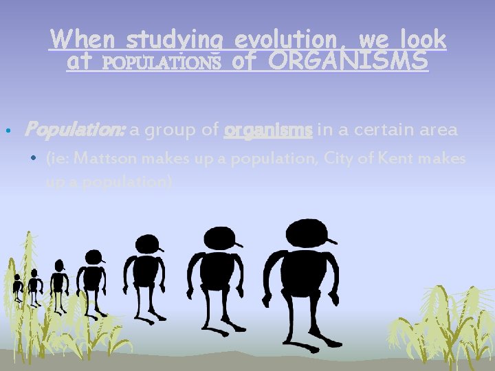 When studying evolution, we look at POPULATIONS of ORGANISMS • Population: a group of When studying evolution, we look at POPULATIONS of ORGANISMS • Population: a group of