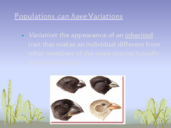 Populations can have Variations • Variation: the appearance of an inherited trait that makes Populations can have Variations • Variation: the appearance of an inherited trait that makes