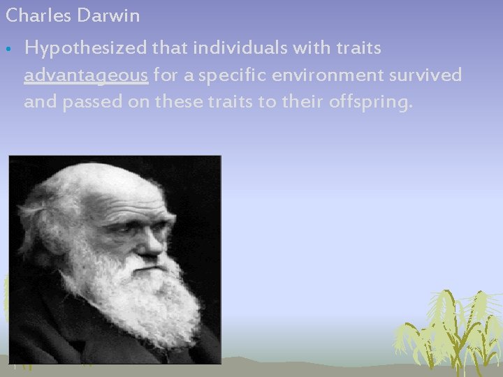 Charles Darwin • Hypothesized that individuals with traits advantageous for a specific environment survived Charles Darwin • Hypothesized that individuals with traits advantageous for a specific environment survived