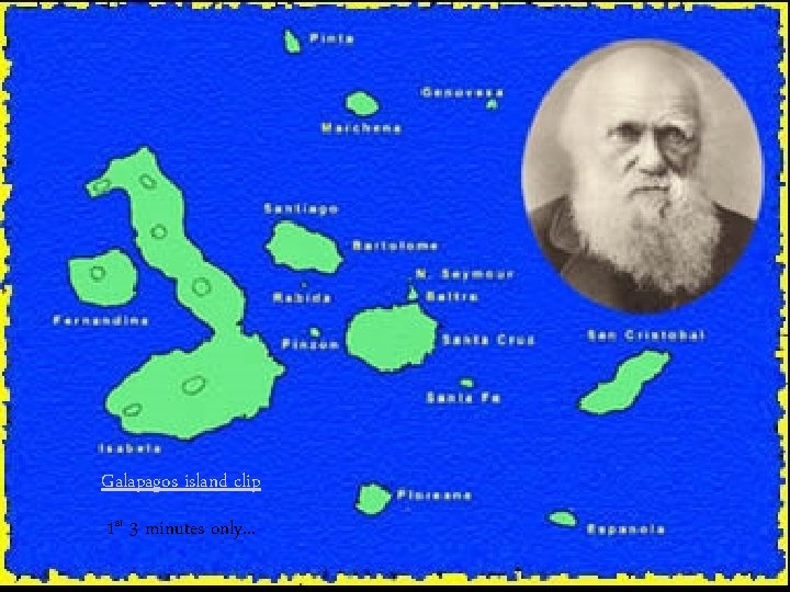Galapagos island clip 1 st 3 minutes only. . . Galapagos island clip 1 st 3 minutes only. . .