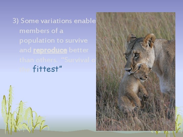 3) Some variations enable members of a population to survive and reproduce better than 3) Some variations enable members of a population to survive and reproduce better than