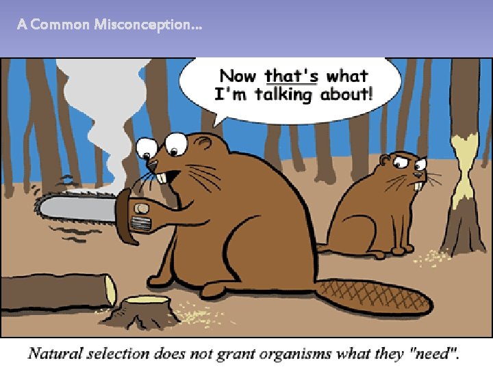 A Common Misconception… A Common Misconception…
