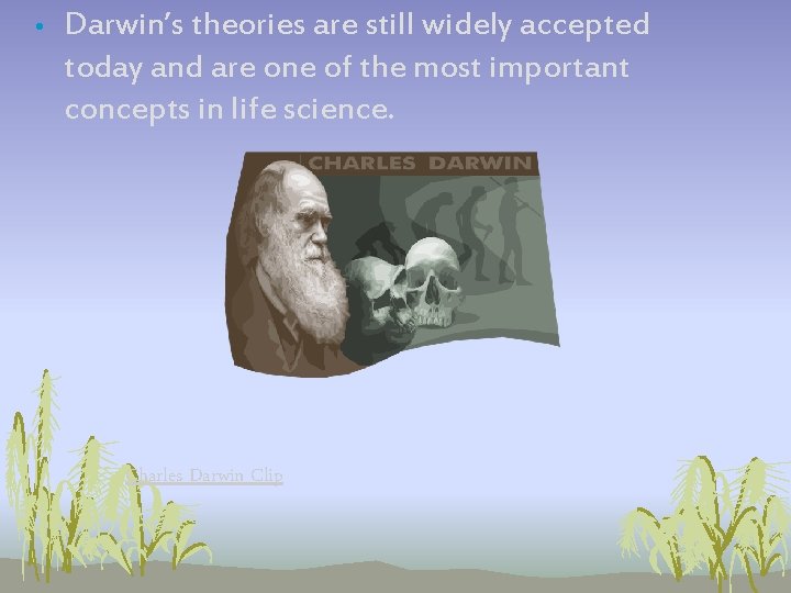 • Darwin’s theories are still widely accepted today and are one of the • Darwin’s theories are still widely accepted today and are one of the