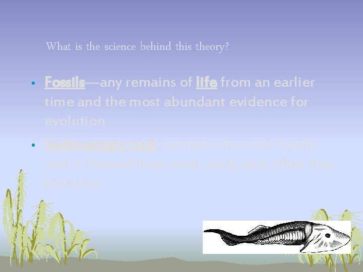 What is the science behind this theory? • • Fossils—any remains of life from What is the science behind this theory? • • Fossils—any remains of life from