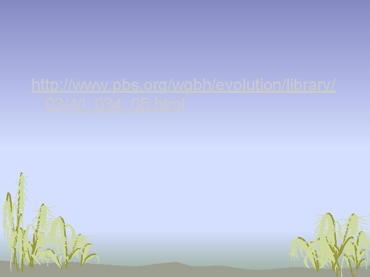 http: //www. pbs. org/wgbh/evolution/library/ 03/4/l_034_05. html http: //www. pbs. org/wgbh/evolution/library/ 03/4/l_034_05. html