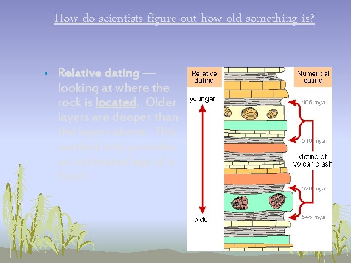 How do scientists figure out how old something is? • Relative dating — looking How do scientists figure out how old something is? • Relative dating — looking