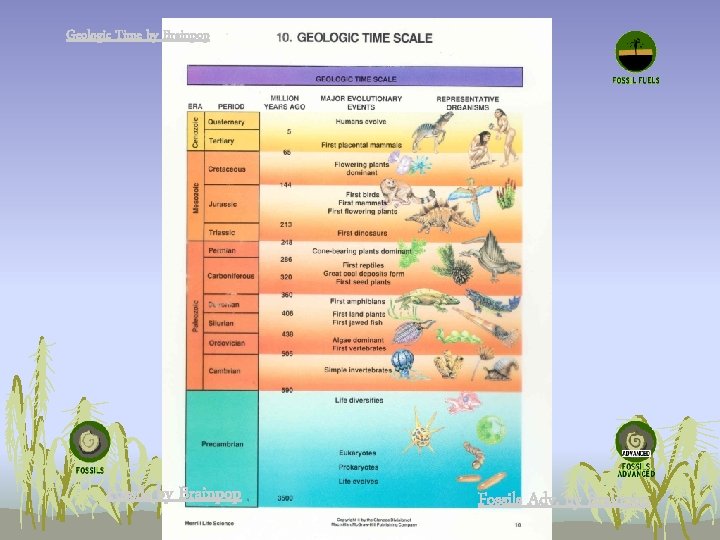 Geologic Time by Brainpop Fossils Adv. by Brainpop Geologic Time by Brainpop Fossils Adv. by Brainpop