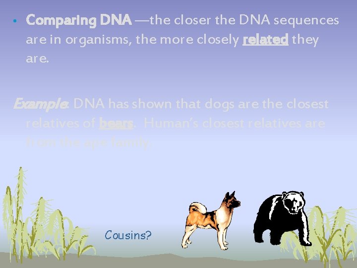 • Comparing DNA —the closer the DNA sequences are in organisms, the more • Comparing DNA —the closer the DNA sequences are in organisms, the more