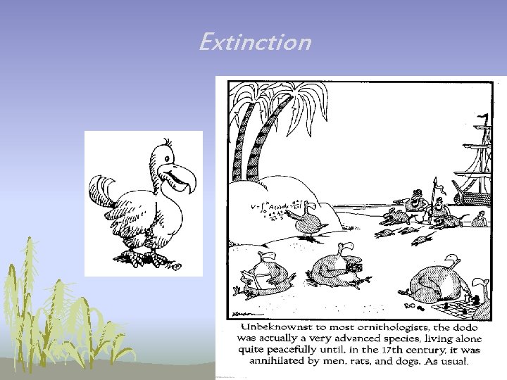 Extinction Extinction
