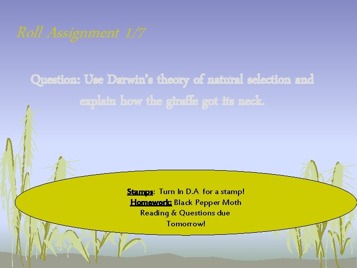 Roll Assignment 1/7 Question: Use Darwin’s theory of natural selection and explain how the Roll Assignment 1/7 Question: Use Darwin’s theory of natural selection and explain how the