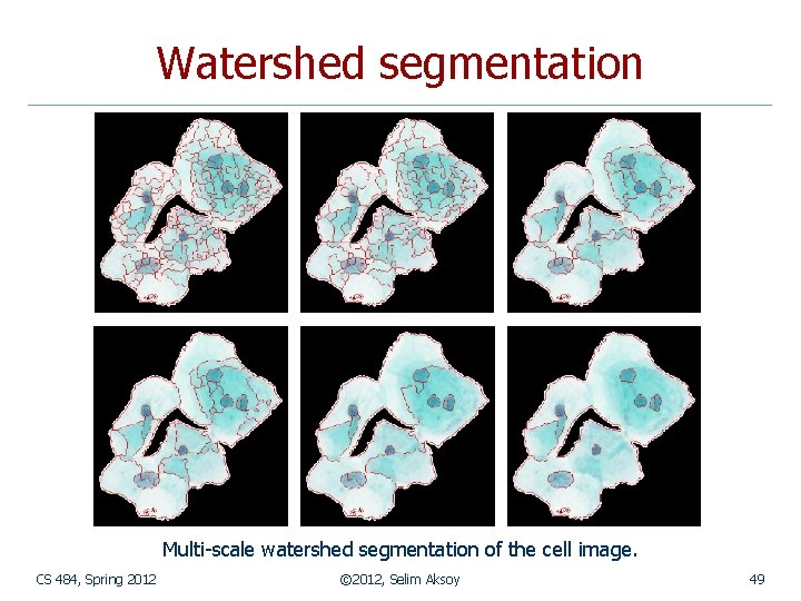 Watershed segmentation Multi-scale watershed segmentation of the cell image. CS 484, Spring 2012 ©