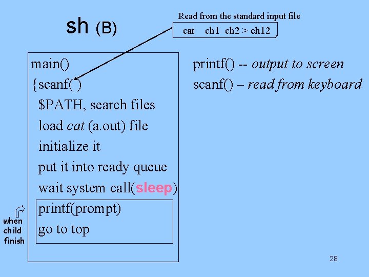 sh (B) when child finish main() {scanf( ) $PATH, search files load cat (a.