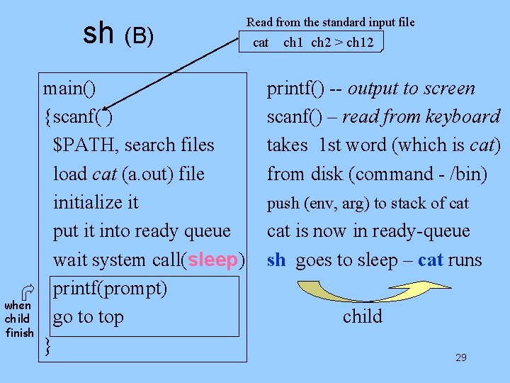 sh (B) when child finish main() {scanf( ) $PATH, search files load cat (a.