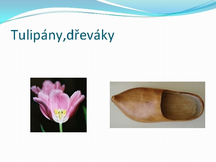 Tulipány, dřeváky 