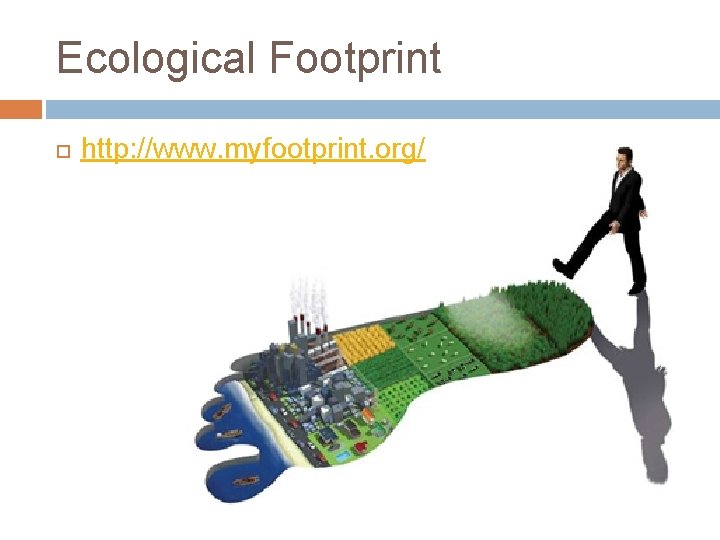 Ecological Footprint http: //www. myfootprint. org/ 