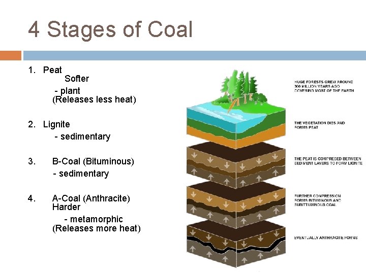 4 Stages of Coal 1. Peat Softer - plant (Releases less heat) 2. Lignite