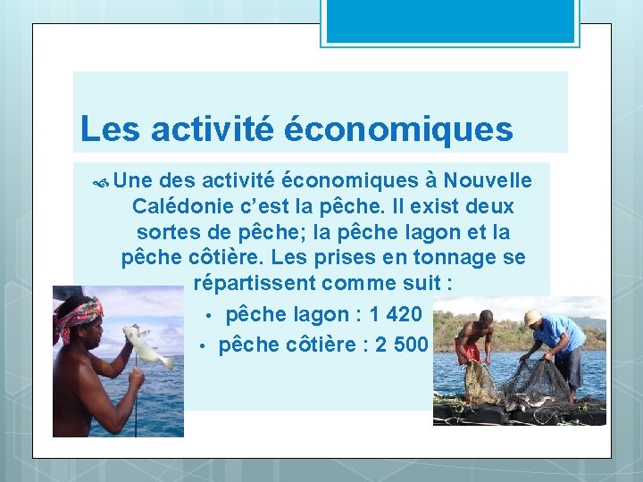 Les activité économiques Une des activité économiques à Nouvelle Calédonie c’est la pêche. Il