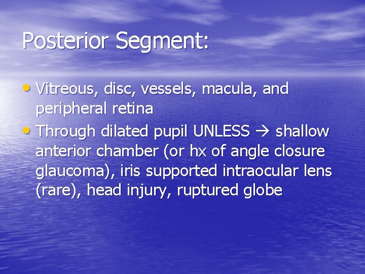 Posterior Segment: • Vitreous, disc, vessels, macula, and peripheral retina • Through dilated pupil