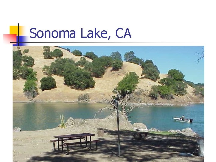 Sonoma Lake, CA 