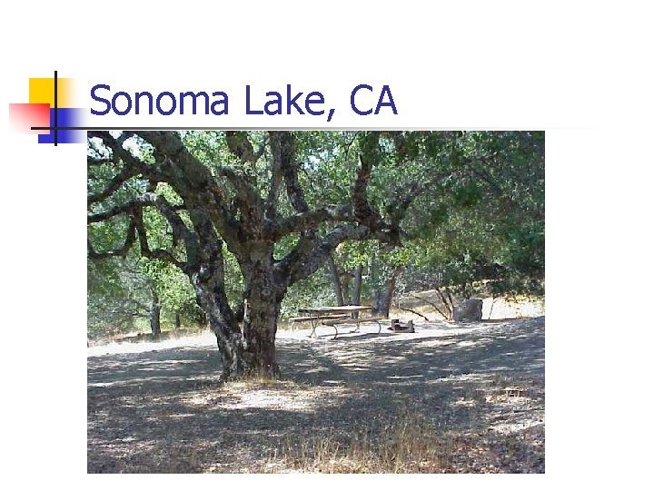 Sonoma Lake, CA 