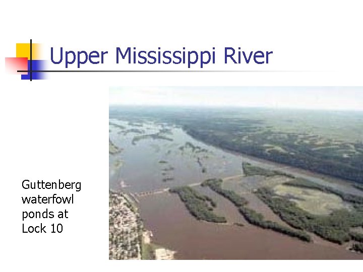 Upper Mississippi River Guttenberg waterfowl ponds at Lock 10 