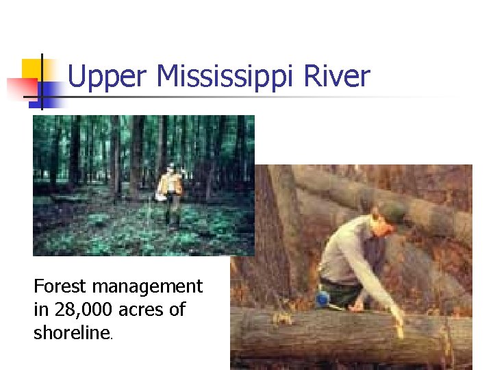 Upper Mississippi River Forest management in 28, 000 acres of shoreline. 