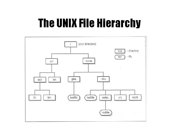 The UNIX File Hierarchy 