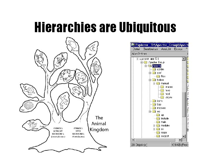 Hierarchies are Ubiquitous 