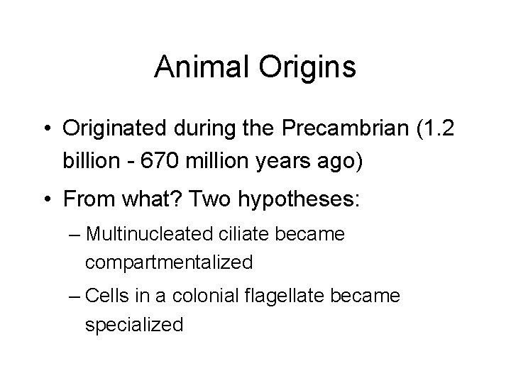 Animal Origins • Originated during the Precambrian (1. 2 billion - 670 million years