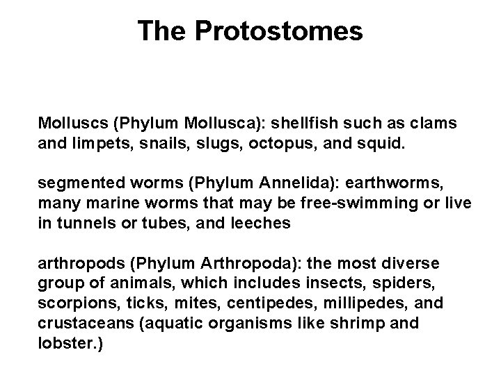 The Protostomes Molluscs (Phylum Mollusca): shellfish such as clams and limpets, snails, slugs, octopus,