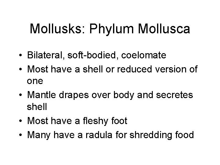 Mollusks: Phylum Mollusca • Bilateral, soft-bodied, coelomate • Most have a shell or reduced