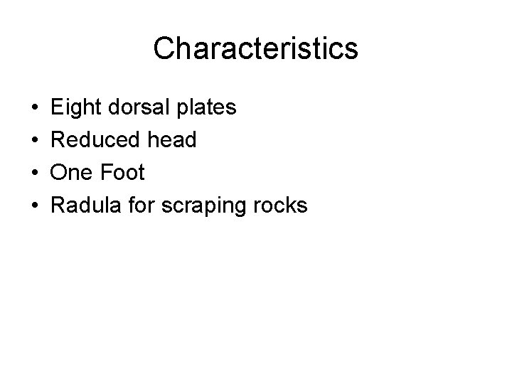 Characteristics • • Eight dorsal plates Reduced head One Foot Radula for scraping rocks