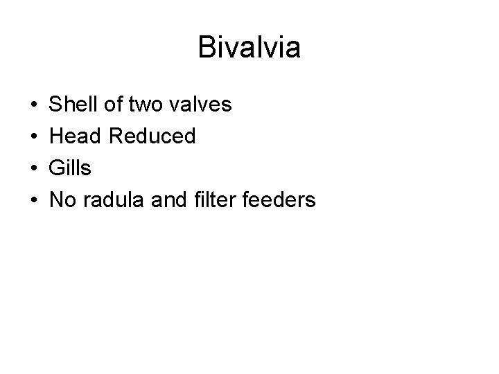 Bivalvia • • Shell of two valves Head Reduced Gills No radula and filter