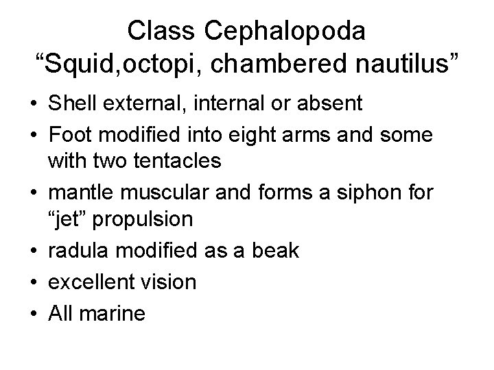 Class Cephalopoda “Squid, octopi, chambered nautilus” • Shell external, internal or absent • Foot