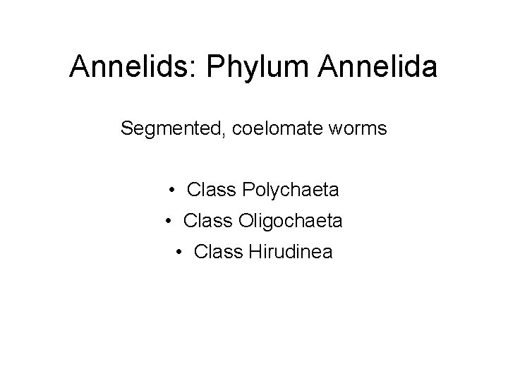 Annelids: Phylum Annelida Segmented, coelomate worms • Class Polychaeta • Class Oligochaeta • Class